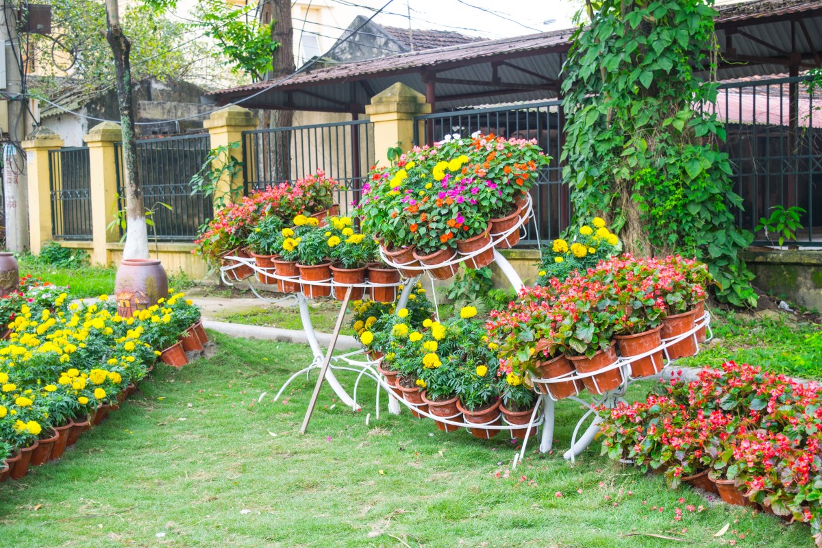 Garden Installation